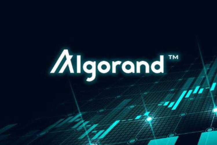 Algorand จะเห็นประธานเจ้าหน้าที่ฝ่ายปฏิบัติการก้าวขึ้นเป็น CEO Steven Kokinos เตรียมที่จะออกไปเพื่อแสวงหาผลประโยชน์อื่น ๆ